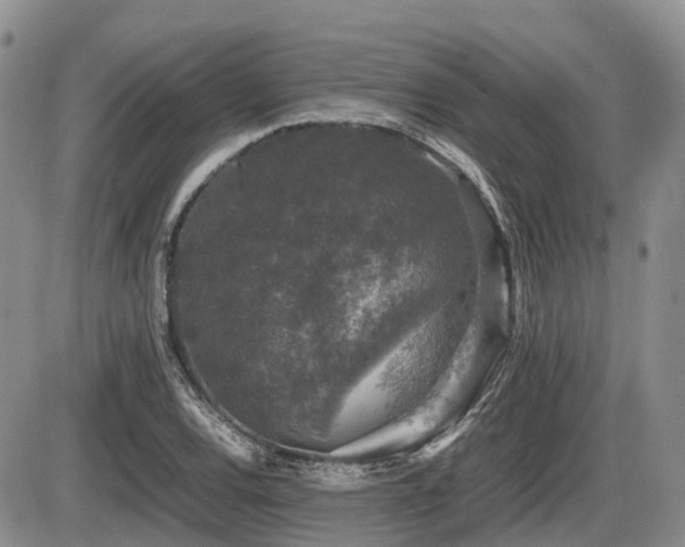 X0000086081120200703231357