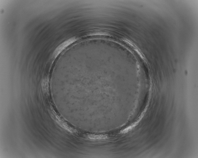 X0000086081121200703231357