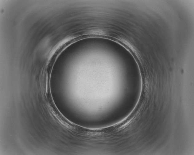 X0000086081123200703231357