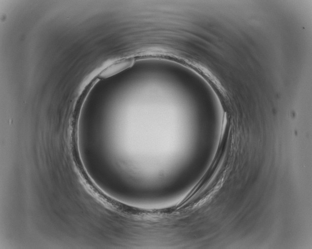 X0000086081134200703231357