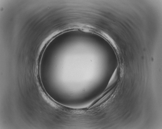 X0000086081136200703231357