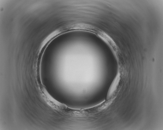 X0000086081138200703231357