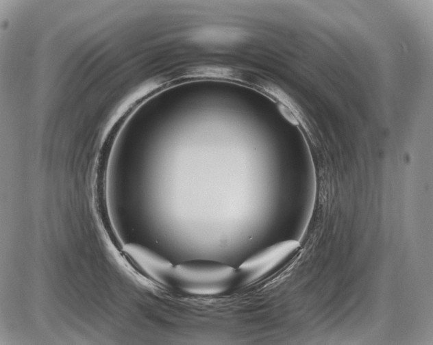 X0000086081139200703231357