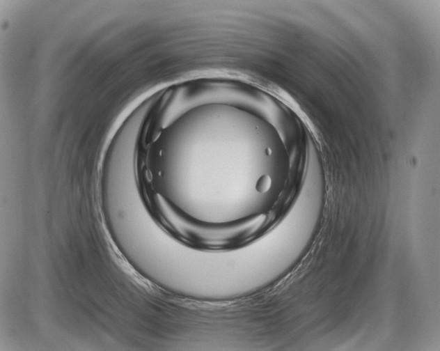 X0000086081140200703231357