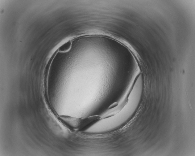 X0000086081142200703231357