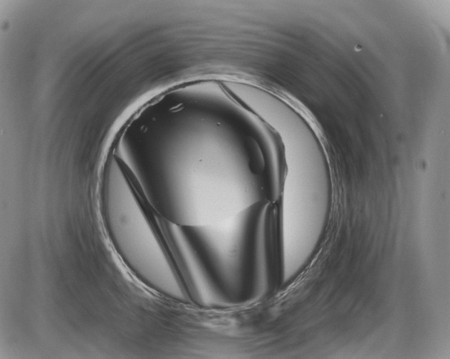 X0000086081144200703231358