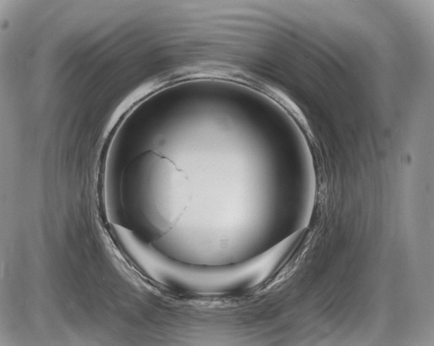 X0000086081146200703231358