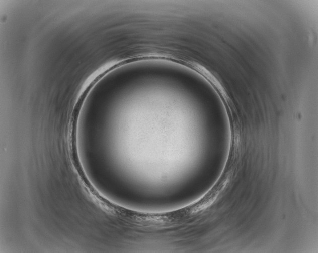 X0000086081149200703231358