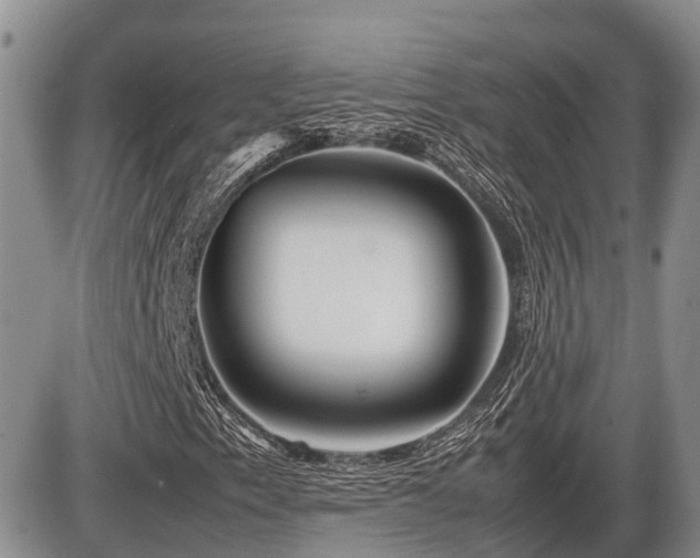 X0000086081153200703231357