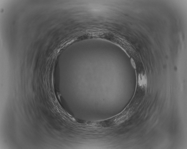 X0000086081155200703231357