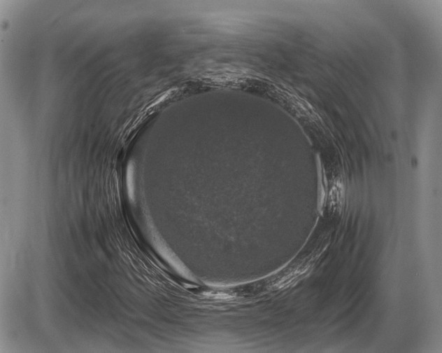 X0000086081156200703231357