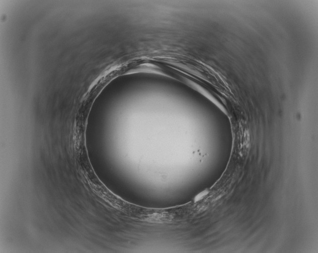 X0000086081160200703231357