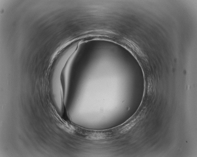 X0000086081164200703231357