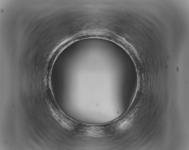 X0000086081166200703231357