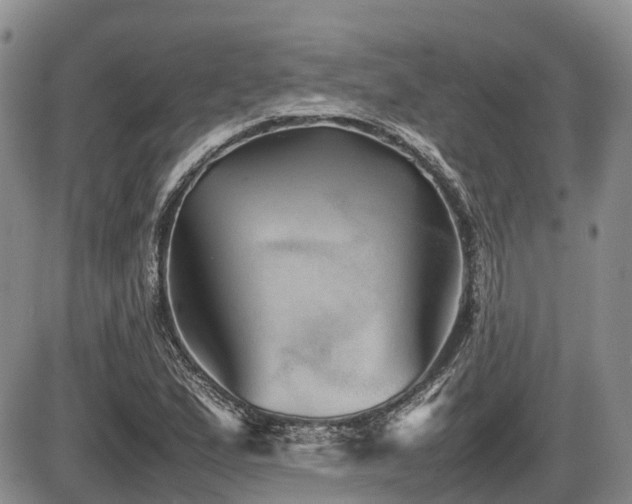 X0000086081167200703231357