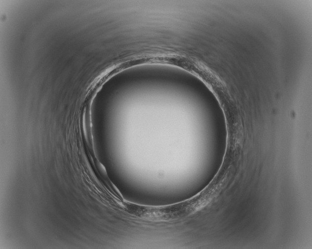 X0000086081169200703231357
