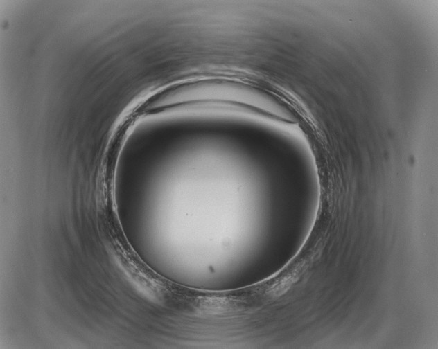 X0000086081172200703231357