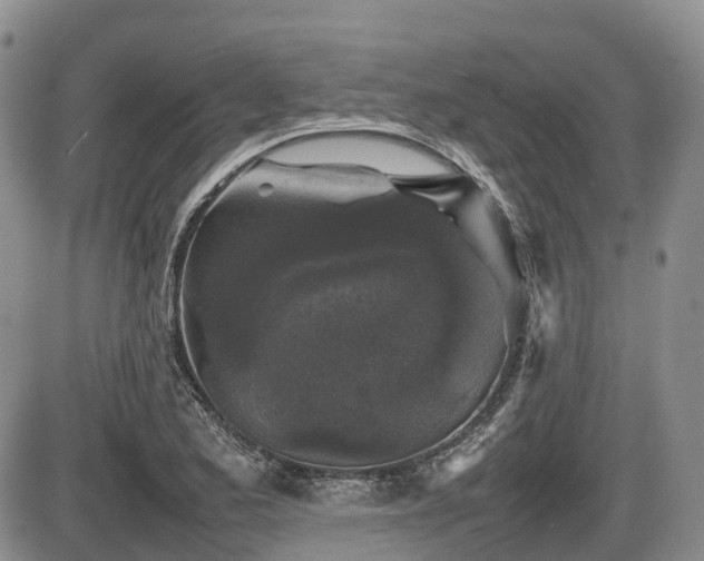 X0000086081173200703231357