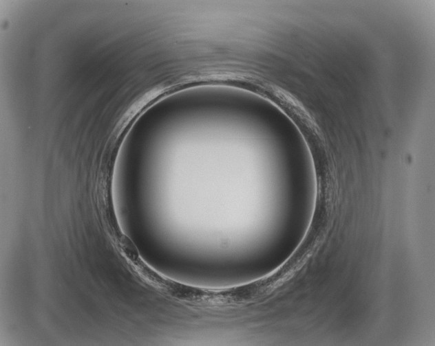 X0000086081177200703231356