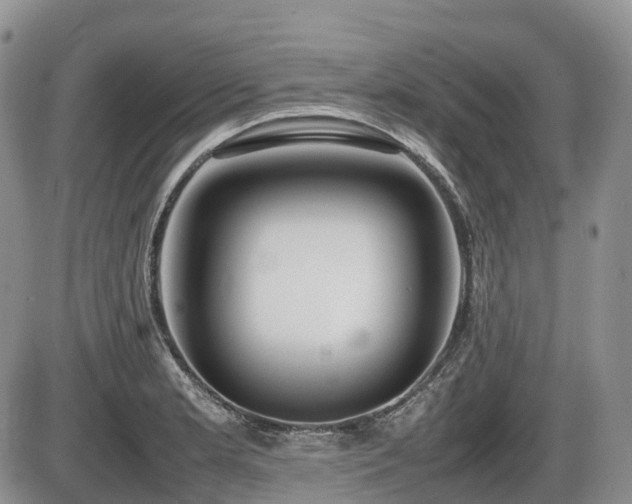 X0000086081181200703231356