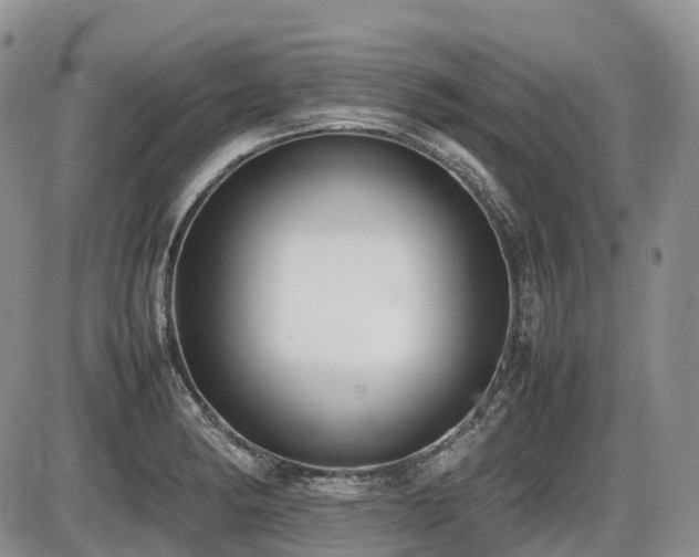 X0000086081182200703231356