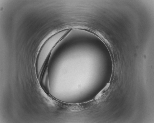 X0000086081189200703231356