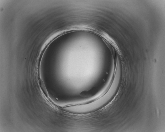 X0000086081192200703231356