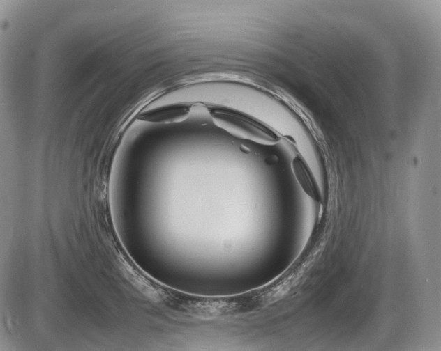 X0000086081193200703231356