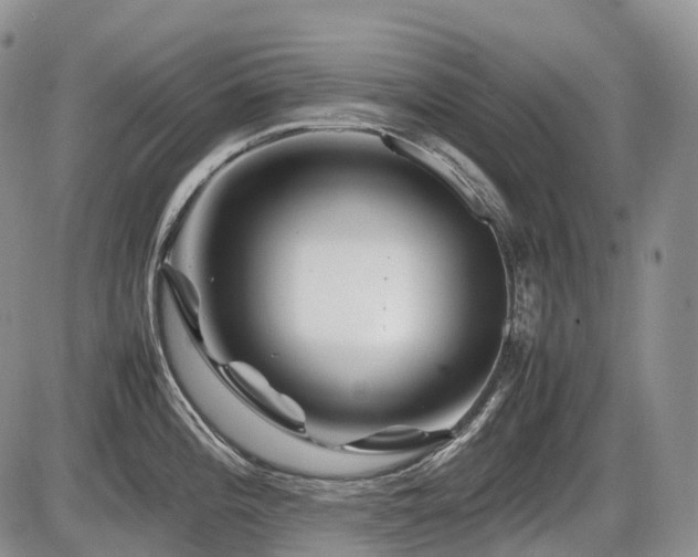 X0000086081196200703231356