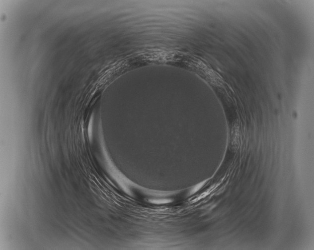 X0000086081202200703231355