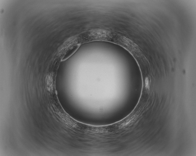 X0000086081203200703231355
