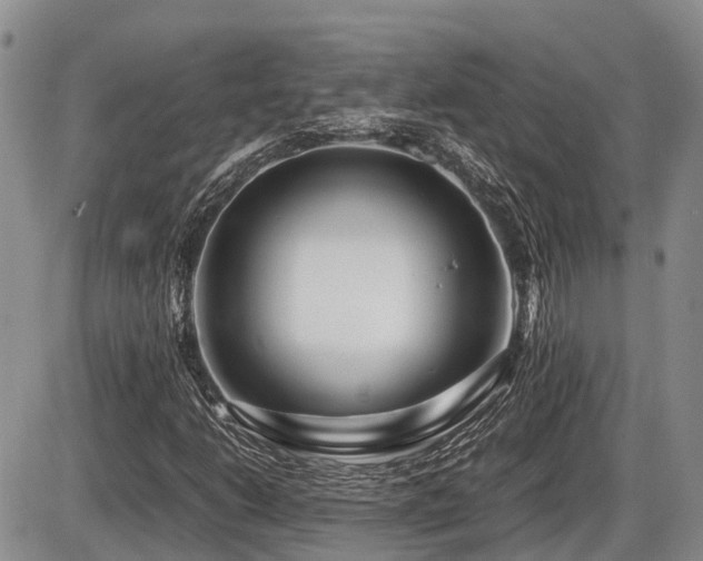 X0000086081206200703231355