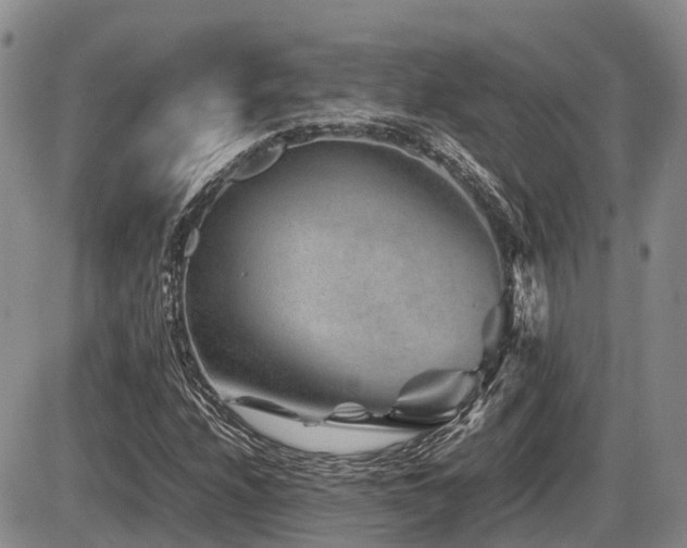 X0000086081208200703231355