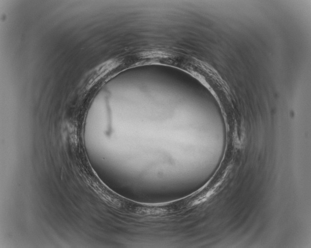 X0000086081209200703231355