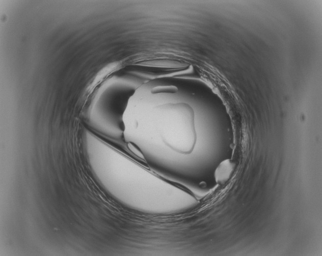 X0000086081210200703231355
