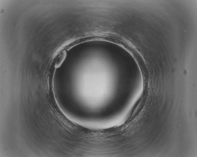 X0000086081214200703231356