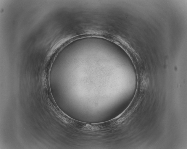 X0000086081215200703231356