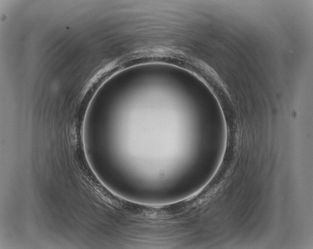 X0000086081218200703231356