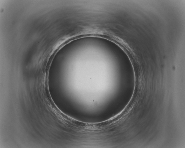 X0000086081220200703231356