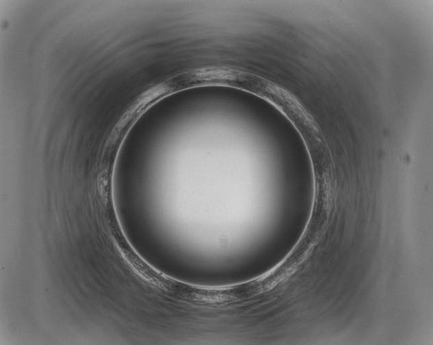 X0000086081225200703231356