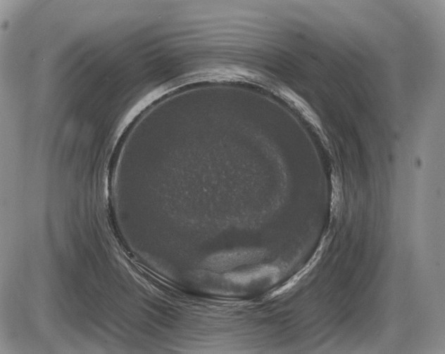 X0000086081226200703231356