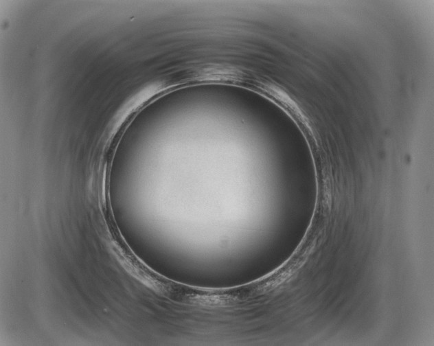 X0000086081227200703231356