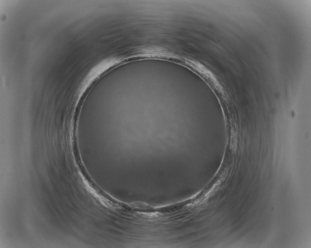 X0000086081231200703231356