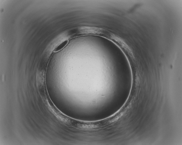 X0000086081233200703231356