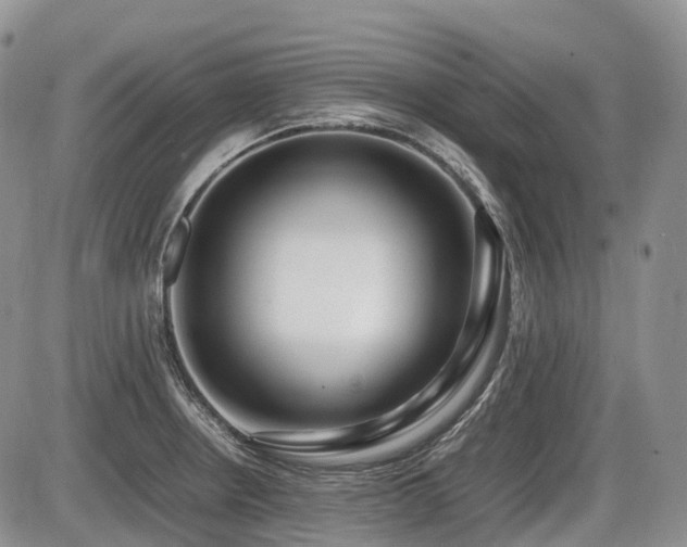 X0000086081234200703231356