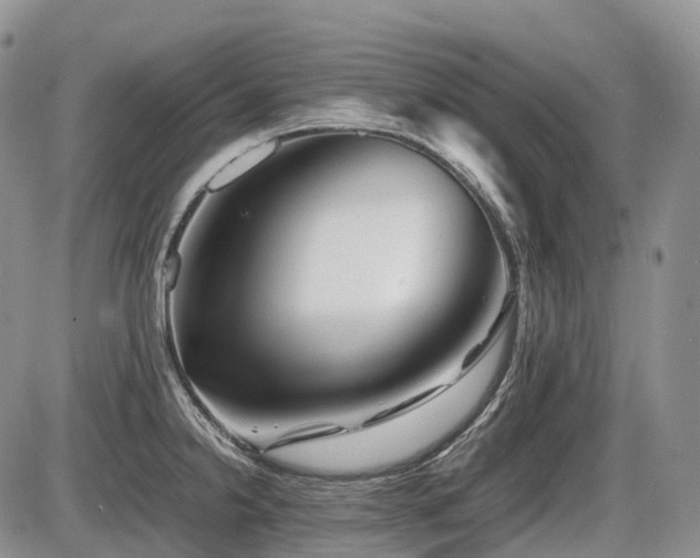 X0000086081238200703231356