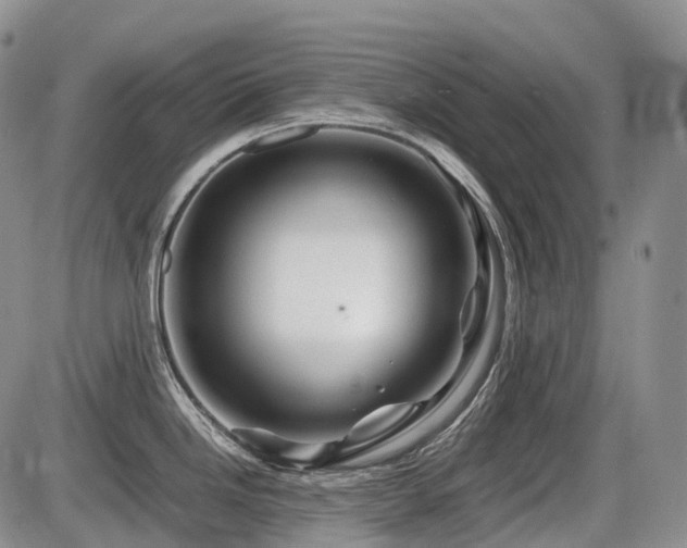 X0000086081246200703231356