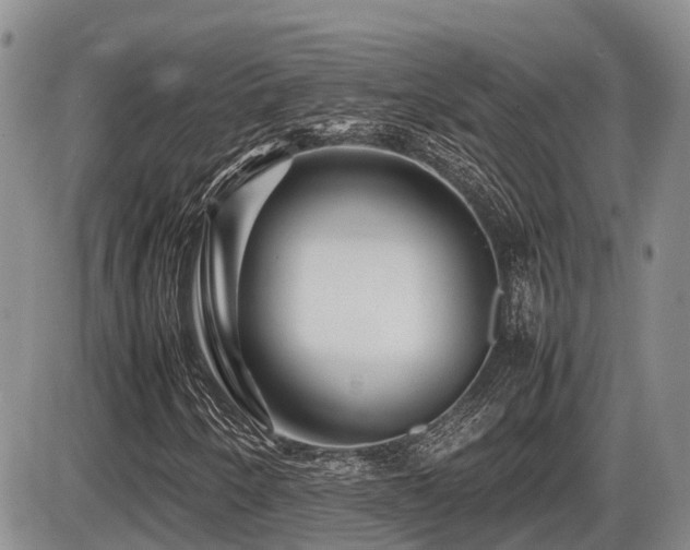 X0000086081250200703231355