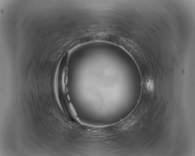 X0000086081252200703231355