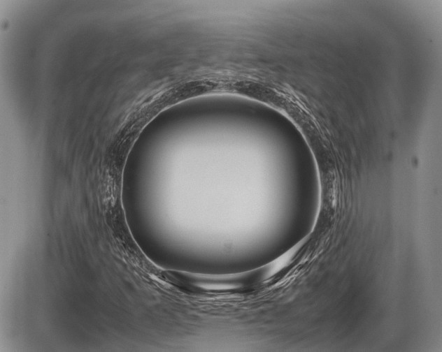 X0000086081253200703231355